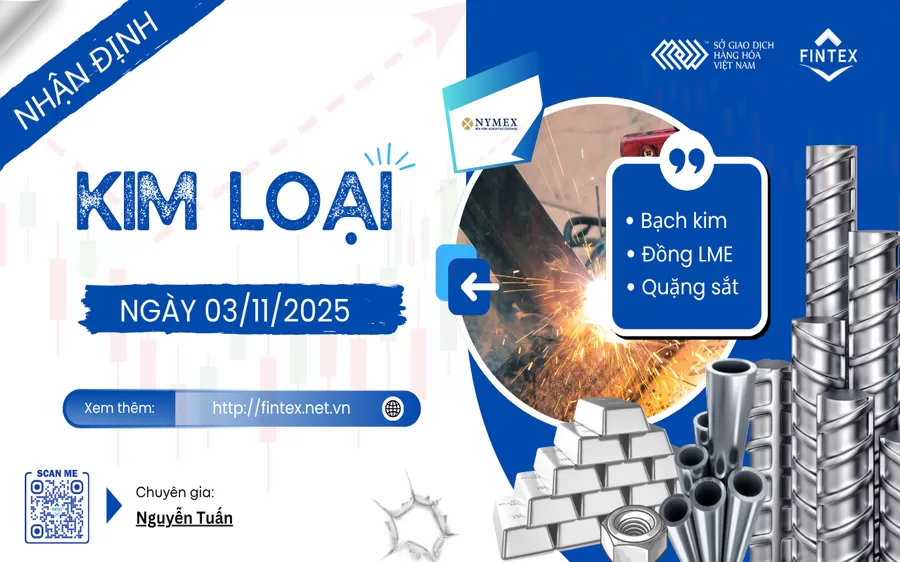 NHẬN ĐỊNH THỊ TRƯỜNG KIM LOẠI NGÀY 03/11/2025